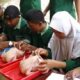 Model bisnis ternak unggas skala kecil dan menengah