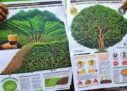 Integrasi Sistem Pertanian Dan Peternakan Industri