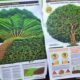 Integrasi sistem pertanian dan peternakan industri