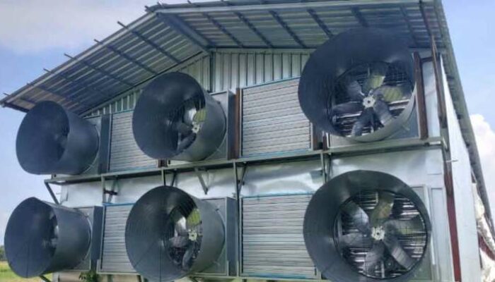 Sistem Ventilasi Kandang Modern