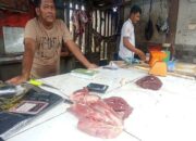 Harga sapi potong hari ini