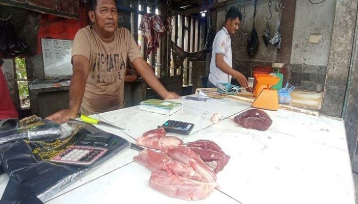 Harga Sapi Potong Hari Ini