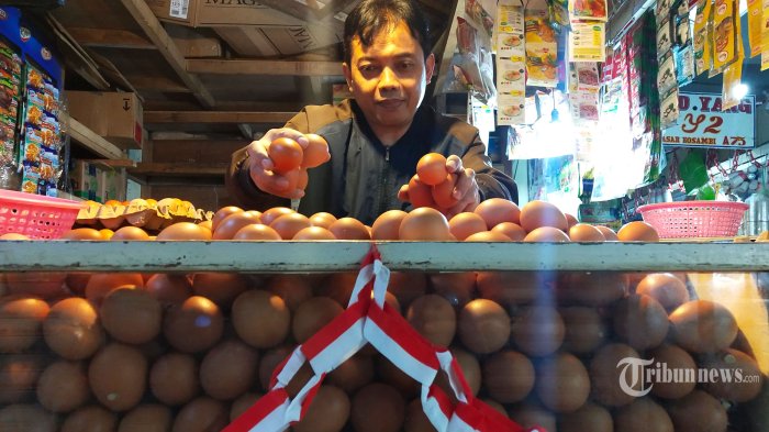 Faktor ekonomi yang memengaruhi harga jual unggas