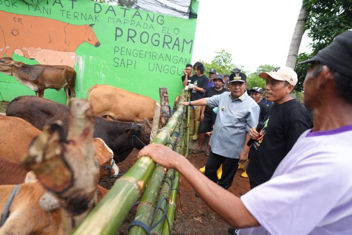 Teknik inseminasi buatan untuk meningkatkan produktivitas ternak