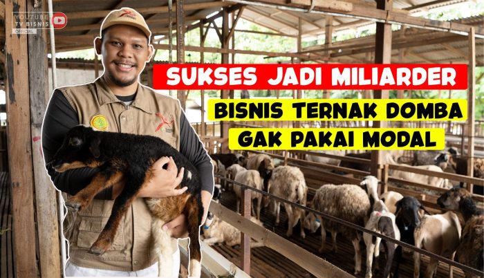 Modal awal ternak kambing dan tips hemat
