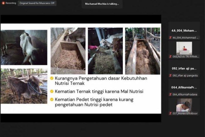 Pengembangan peternakan skala industri di Indonesia