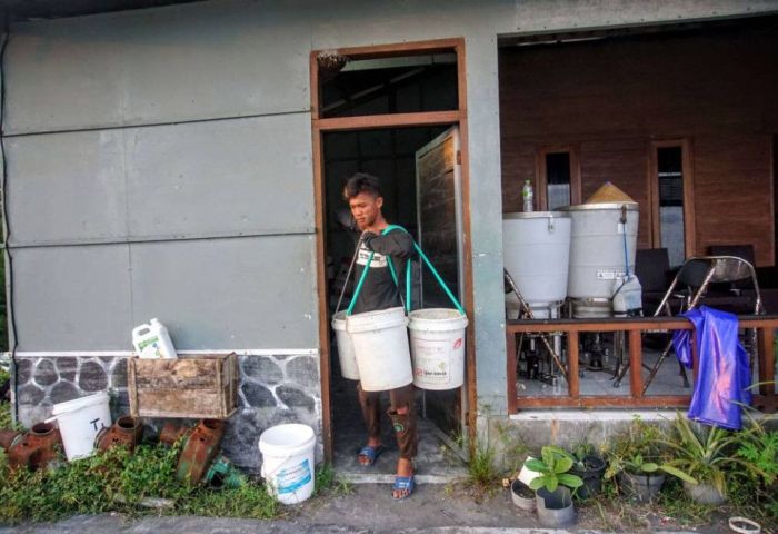 Cara mengevaluasi kualitas pakan untuk mencegah penyakit hewan