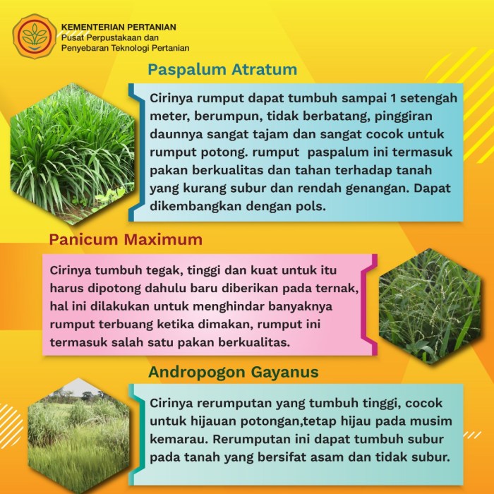 Hubungan antara pakan berkualitas rendah dan penyakit pencernaan