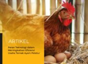 Pengaruh Manajemen Pakan Terhadap Performa Produksi Telur