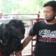 Rahasia peternak kambing sukses Indonesia