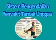 Pengendalian Penyakit Ternak Dengan Pendekatan Teknikal