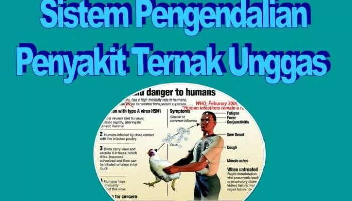 Pengendalian Penyakit Ternak Dengan Pendekatan Teknikal