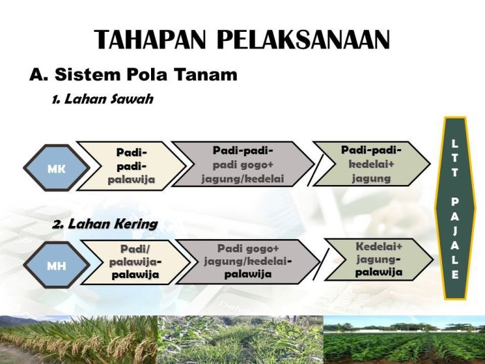 Budidaya ikan dengan sistem tumpangsari