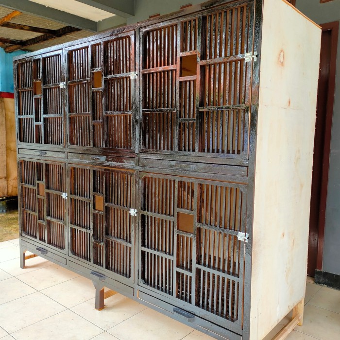 Ukuran kandang ayam bangkok ideal