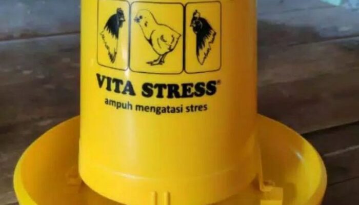 Tempat Pakan Dan Minum Ayam Kampung