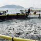 Ikan nila kolam budidaya tenang terpal tanpa aerator merah ganti