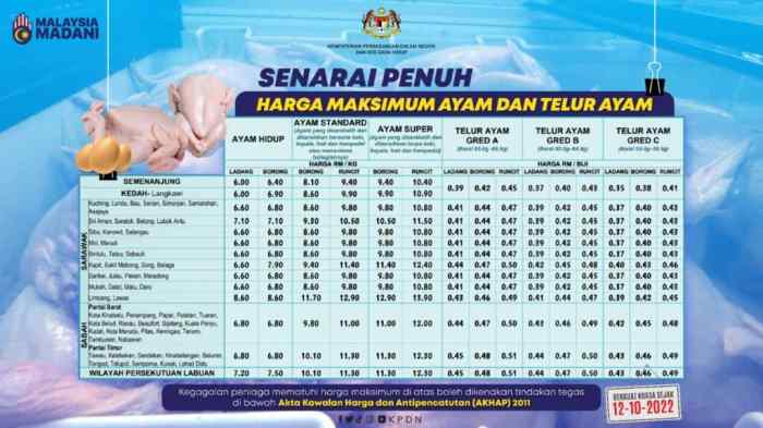 Harga ayam bangkok 2024/2025