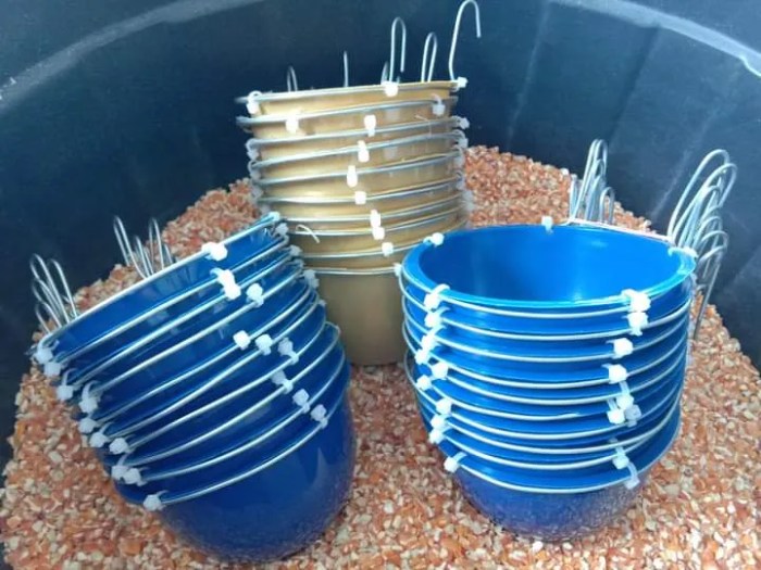 Ayam kandang kampung petelur membuat potong dekorrumah dalam hal