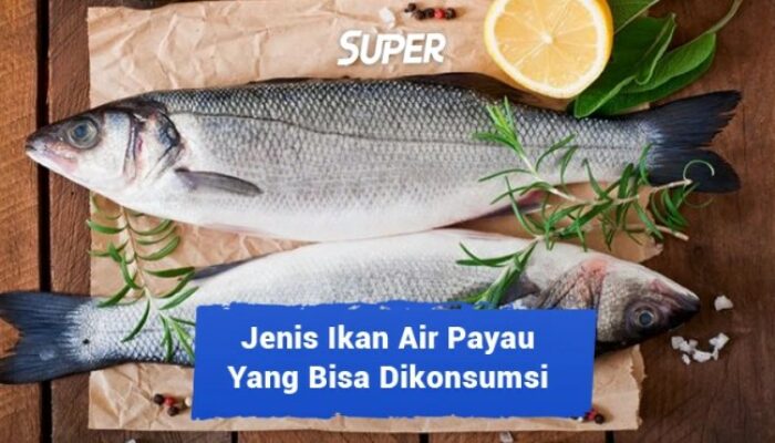 Budidaya Ikan Air Payau