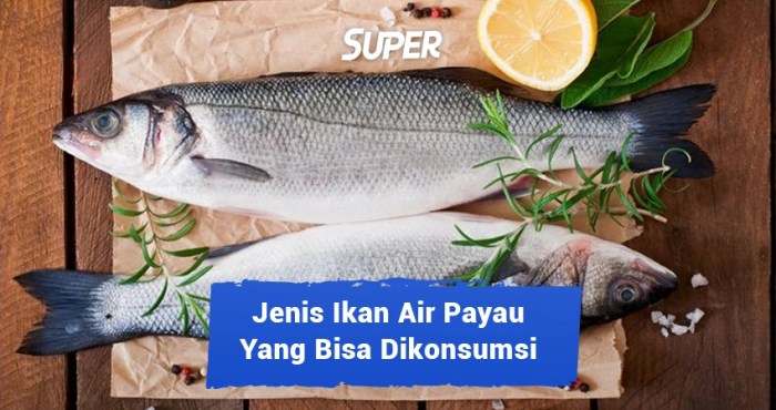 Budidaya ikan air payau