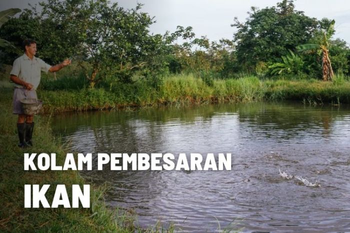 Pembesaran ikan dalam budidaya