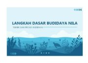 Langkah Awal Budidaya Nila