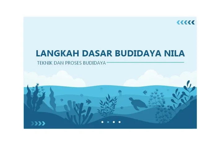 Langkah awal budidaya nila