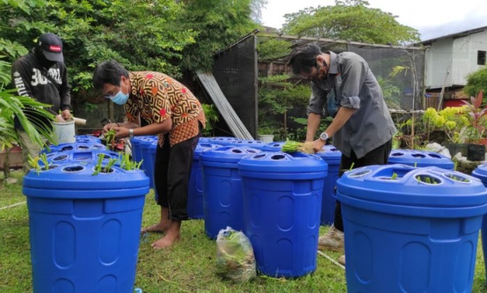 Budidaya Ikan Sistem Ras