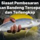 Pembesaran ikan dalam budidaya