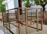 Ukuran Kandang Ayam Bangkok Ideal