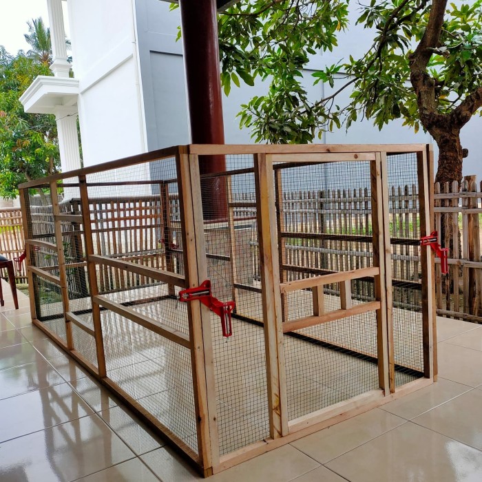 Ayam kandang ukuran bambu bangkok sekitar sederhana