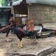 Cara mengawinkan ayam bangkok berbeda jenis