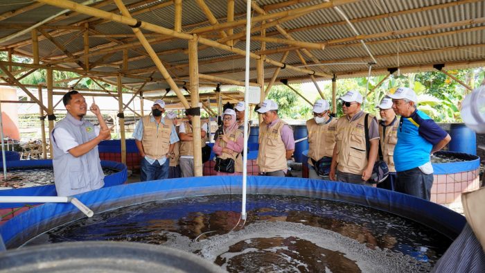 Budidaya ikan hemat air