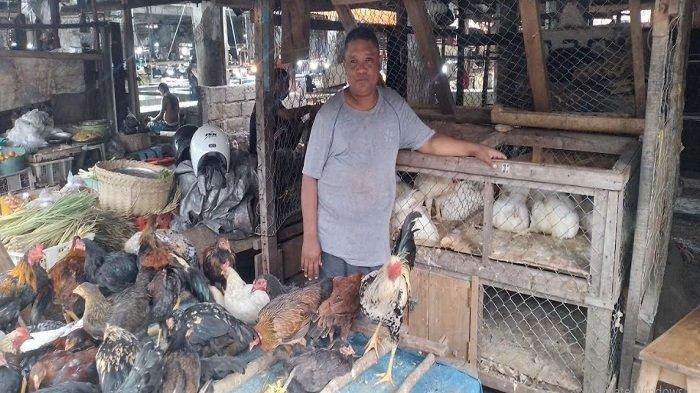 Pasar ayam kampung terdekat