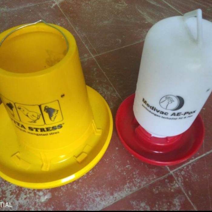 Tempat pakan dan minum ayam kampung