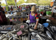 Strategi Pemasaran Ikan Nila
