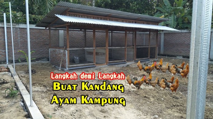 Kandang ayam petelur membuat desain kampung baterai bangkok potong pedaging kawat baik ukuran tipe bambu sistem sering berikut lantai menurut