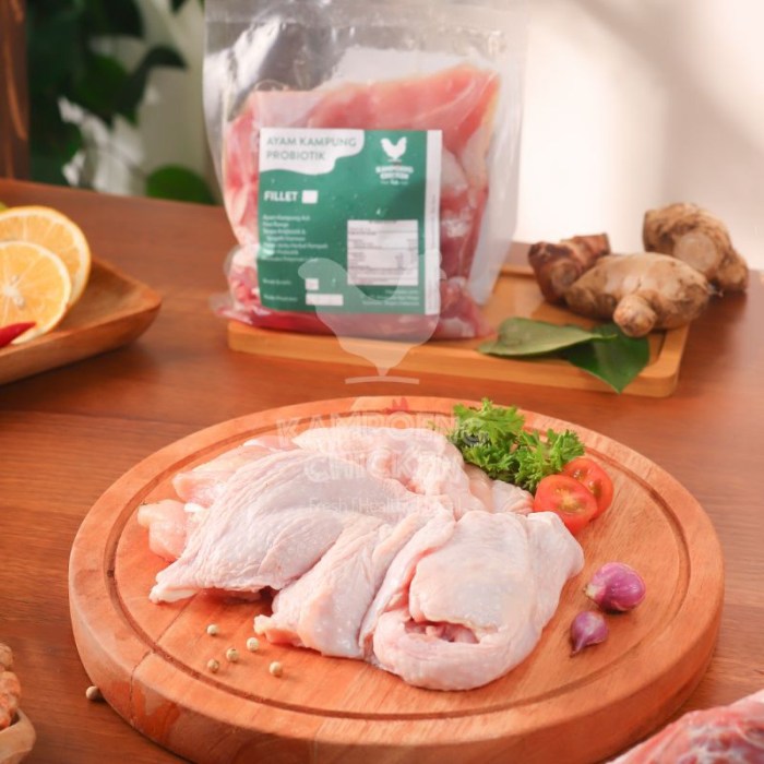 Ayam kampung probiotik