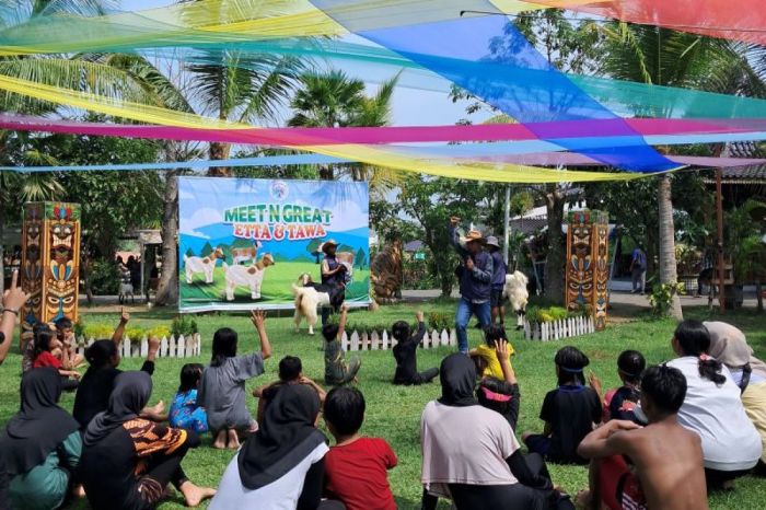 Kambing etawa untuk wisata edukatif