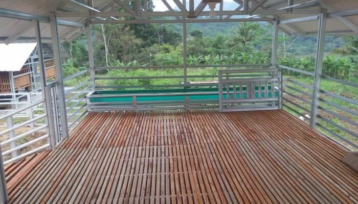 Kandang Kambing Etawa Modern