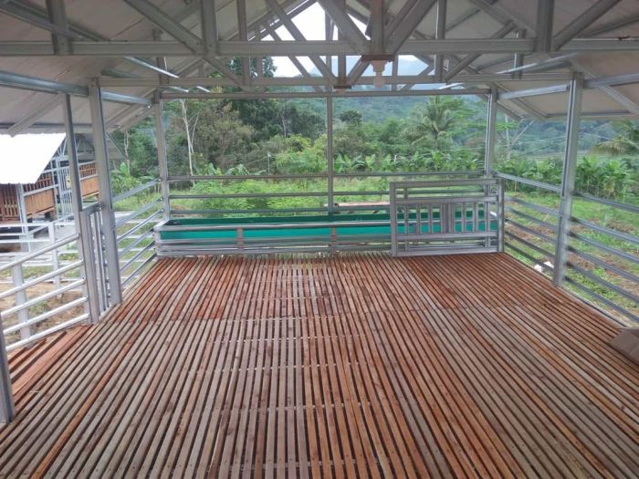 Kandang kambing ukuran etawa ideal terbaik pilih papan cabras corral kayu Kandang kambing ukuran etawa ideal terbaik pilih papan cabras corral kayu
