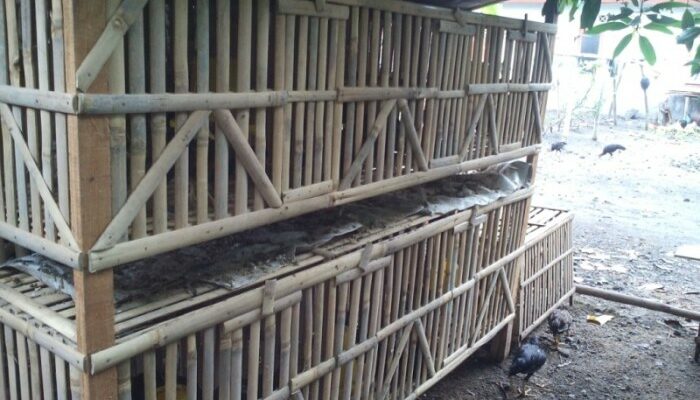 Bahan Membuat Kandang Ayam Kampung