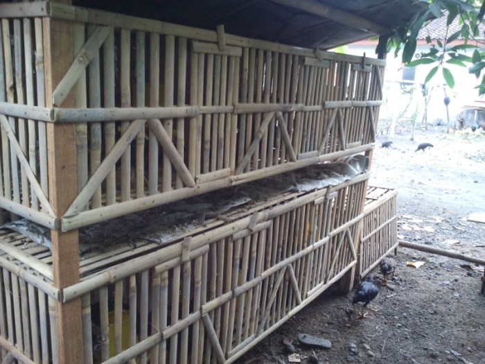 Kandang ayam petelur desain membuat bambu sistem baterai peternakan puyuh tipe ternak yang baik marmut sangkar kawat versi tingkatan tiga Bahan membuat kandang ayam kampung