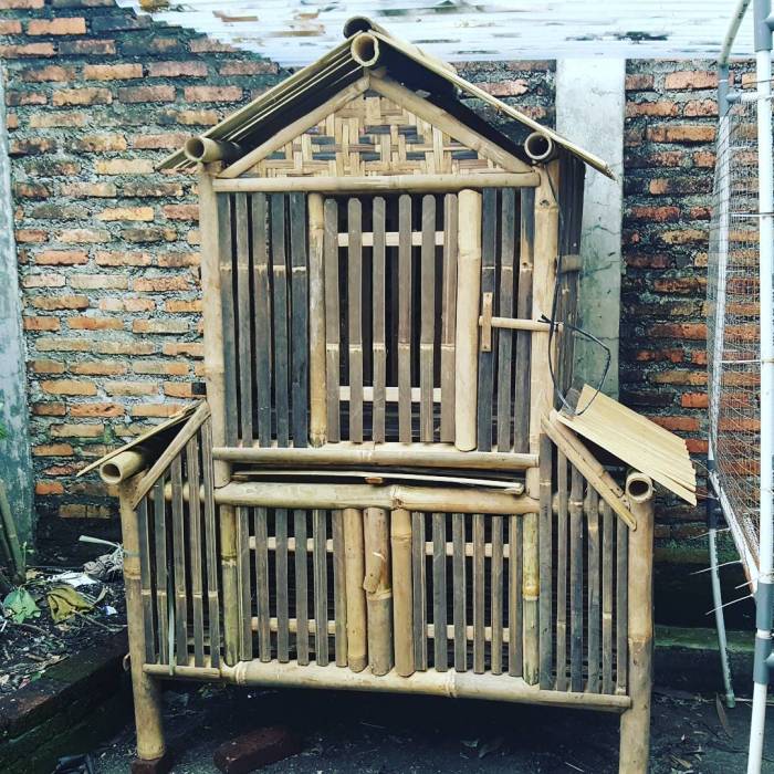 Desain kandang ayam kampung sederhana