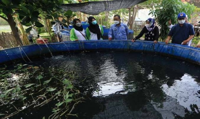 Budidaya ikan cocok untuk daerah panas
