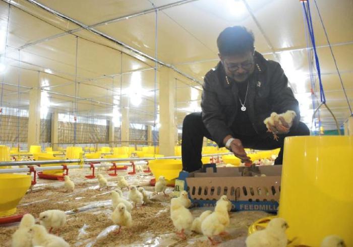 Gambaran Peta Persaingan Produk Pertanian AS - Brazil | Poultry Indonesia Integrasi broiler dengan pertanian