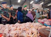 Harga jual ayam hidup per kg