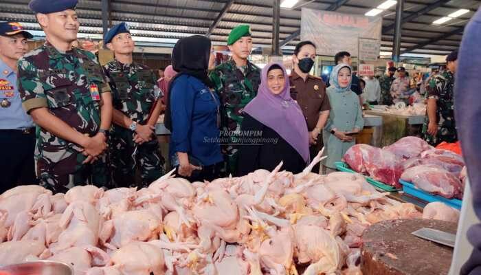 Harga Jual Ayam Hidup Per Kg