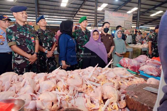 Harga jual ayam hidup per kg