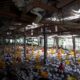 Kepadatan kandang broiler ideal